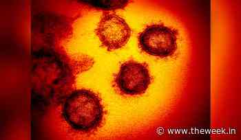 Delhi's coronavirus R-value 2.1 this week: IIT-Madras analysis - The Week