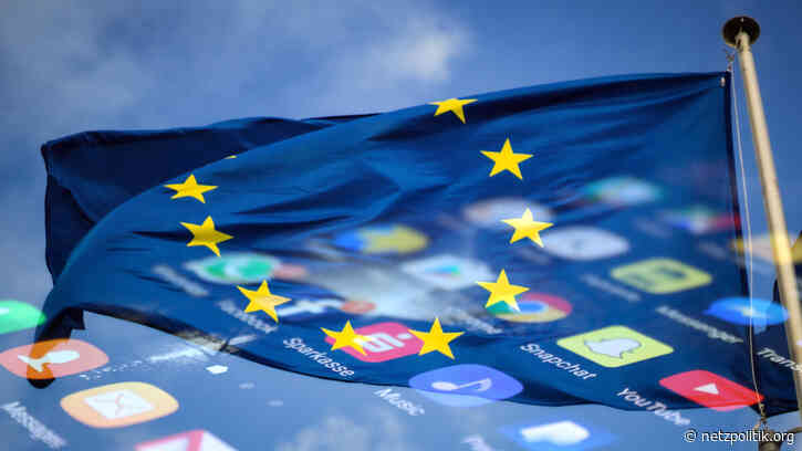 Kommentar zum Digitale-Dienste-Gesetz: Das ist noch kein Plattformgrundgesetz