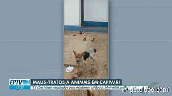 Mulher é presa por maus-tratos a animais em Capivari, diz prefeitura - g1.globo.com