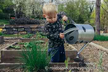 This Earth Day, teach your child to protect the environment - Rosebank Killarney Gazette