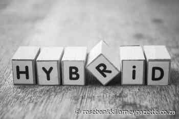 Beat the fuel price – drive a hybrid - Rosebank Killarney Gazette