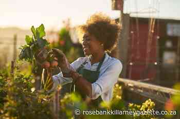 Homegrown goodness - Rosebank Killarney Gazette