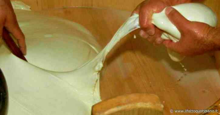 La multinazionale francese Lactalis chiuderà due stabilimenti Alival a Pistoia e Reggio Calabria. A rischio 150 lavoratori