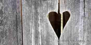 Missglückte Handyrettung: Frau stürzt kopfüber in Plumpsklo