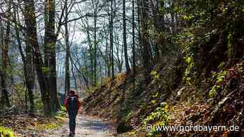 Siebenjähriger verschwindet auf Wanderung in Bayern - Polizei sucht die Umgebung ab - Nordbayern.de