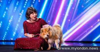 Britain's Got Talent dog fell off stage in new clip as fans say 'it's a fix' - My London