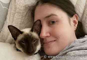 Owner devastated after kitten poisoned by antifreeze - Spalding Today