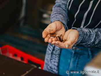 Spunta la "truffa delle monetine": come funziona (per non cascarci)