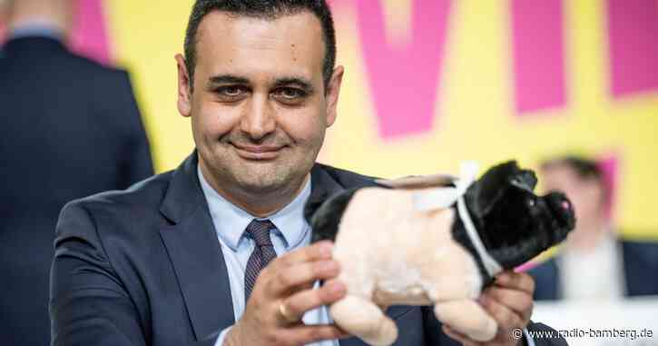 Djir-Sarai ist neuer Generalsekretär der FDP