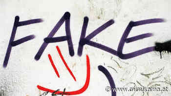 So kannst du Bilder im Internet überprüfen - Mimikama