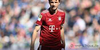 Bundesliga im Live-Stream: FC Bayern gegen Borussia Dortmund live im Internet - FOCUS Online