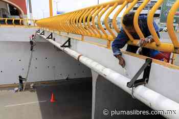 Ayuntamiento, comprometido con mejorar la imagen urbana de Xalapa - plumas libres