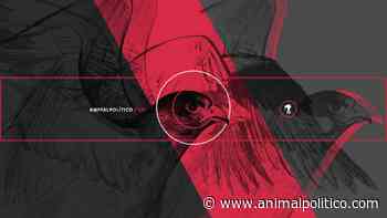 Semillas libres y derechos de las personas campesinas - Animal Político