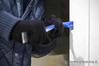 Furto in una pescheria di via Superga, la rabbia del titolare: «Trani paese dei balocchi per chi vuole delinquere» - TraniViva