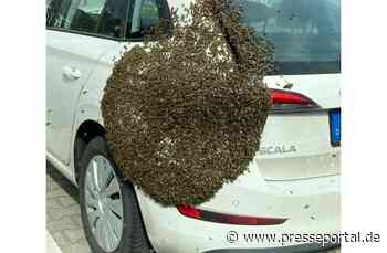 POL-DA: Kelsterbach: Bienenschwarm macht Pause