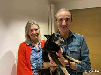 Krak van Deerlijk: “Humor is een passend middel tegen verzuring” - KW.be