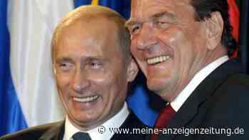 Schröder würde bei Gas-Stopp zurücktreten - Merz will SPD im Ukraine-Krieg überstimmen