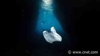 We're Drowning in Plastic. Here's What You Can Do About It     - CNET