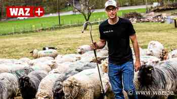 Junger Schäfer aus Witten setzt komplett auf Nachhaltigkeit - WAZ News