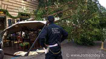 Paura a Prati: albero cade sul gazebo di un bar