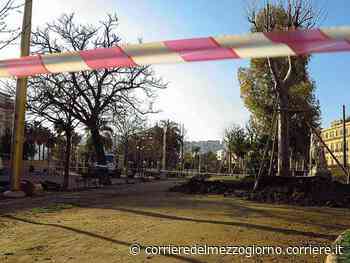 Villa Comunale di Napoli, l’Ispra: «Grave rischio per la vegetazione» - Corriere del Mezzogiorno