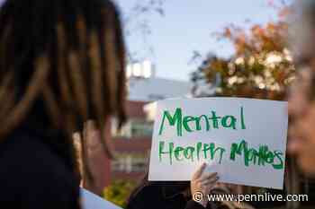 Cumberland County needs more mental health resources | PennLive letters - PennLive