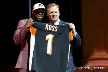 Worst Cincinnati Bengals draft picks in franchise history - Stripe Hype