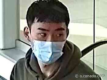 Suspect sought in alleged sex assault at Markham mall - Canada.com