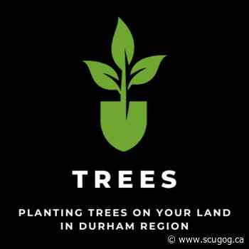 Durham Region Partners with Five Conservation Authorities to Plant Future Forests - Scugog