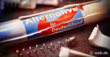 Gerichtstermin mit Kalbitz: Vor diesen drei Problemen steht die AfD - WEB.DE News