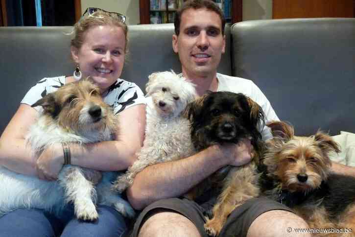 Koppel looft beloning uit aan wie gouden tip levert naar gestolen hangertjes met assen van overleden huisdier: “Of misschien komen de inbrekers tot inkeer, geef ons alstublieft de hangertjes terug”