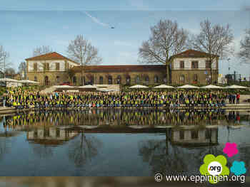 ▷ Helfertreffen beim Gartenschauweiher - Eppingen.org