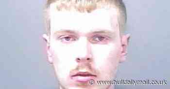 Luck finally runs out for brazen Hull criminal - Hull Live