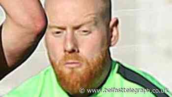 Dwayne Nelson bitten by Irish League bug again after keeping clean sheet against Warrenpoint Town - Belfast Telegraph