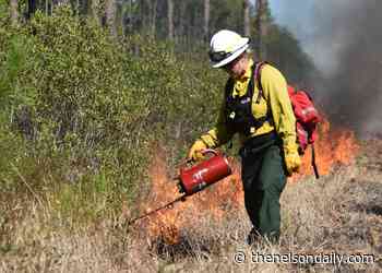 Two prescribed burns slated for this weekend, weather permitting - The Nelson Daily