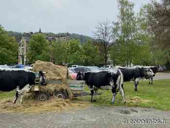 Epinal - La marche des vosgiennes en centre ville - Epinal infos - Epinal Infos