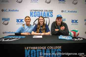 Recruiting season underway for Kodiaks women's volleyball program - My Lethbridge Now