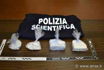 Droga: 1 kg di cocaina dentro l'auto, arrestato a Sesto F.no - Agenzia ANSA
