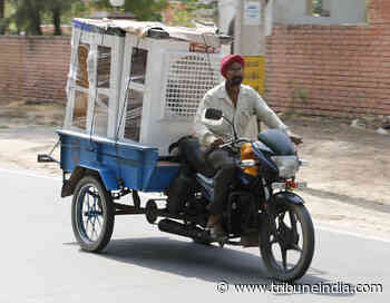 Punjab CM Bhagwant Mann ‘unhappy’ with transport dept decision to ban use of ‘motorcycle rehri’ - The Tribune India