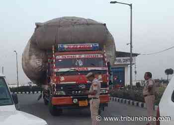 Sirsa, Fatehabad districts ban sale, transport of fodder - The Tribune India