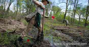 Minnesota's climate action plan calls for sweeping changes in energy, farming, transport - Star Tribune