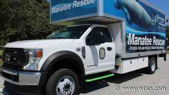 FWC rolls out new manatee rescue transport - WTSP.com