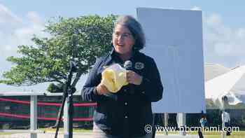 Mayor Levine Cava Announces New ‘Plastic Free 305' Program at Baynanza Cleanup Event