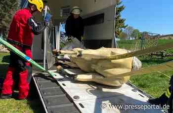 FW Borgentreich: Großtierrettung bei der Feuerwehr Borgentreich.