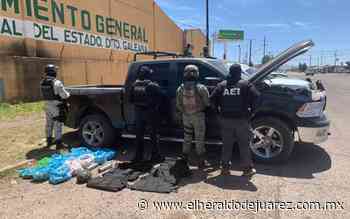 Aseguran en Nuevo Casas Grandes una pick up robada, droga y equipo táctico - El Heraldo de Juárez