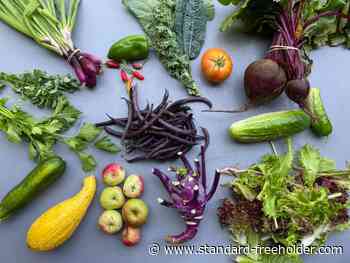 SDG incentives program awards $86k to six local businesses - Standard Freeholder