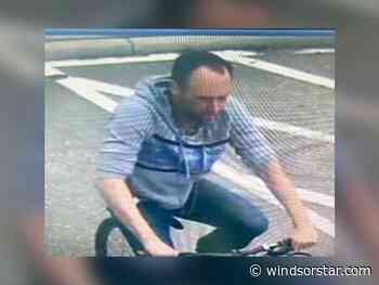 Tecumseh OPP seek bicycle thief - Windsor Star