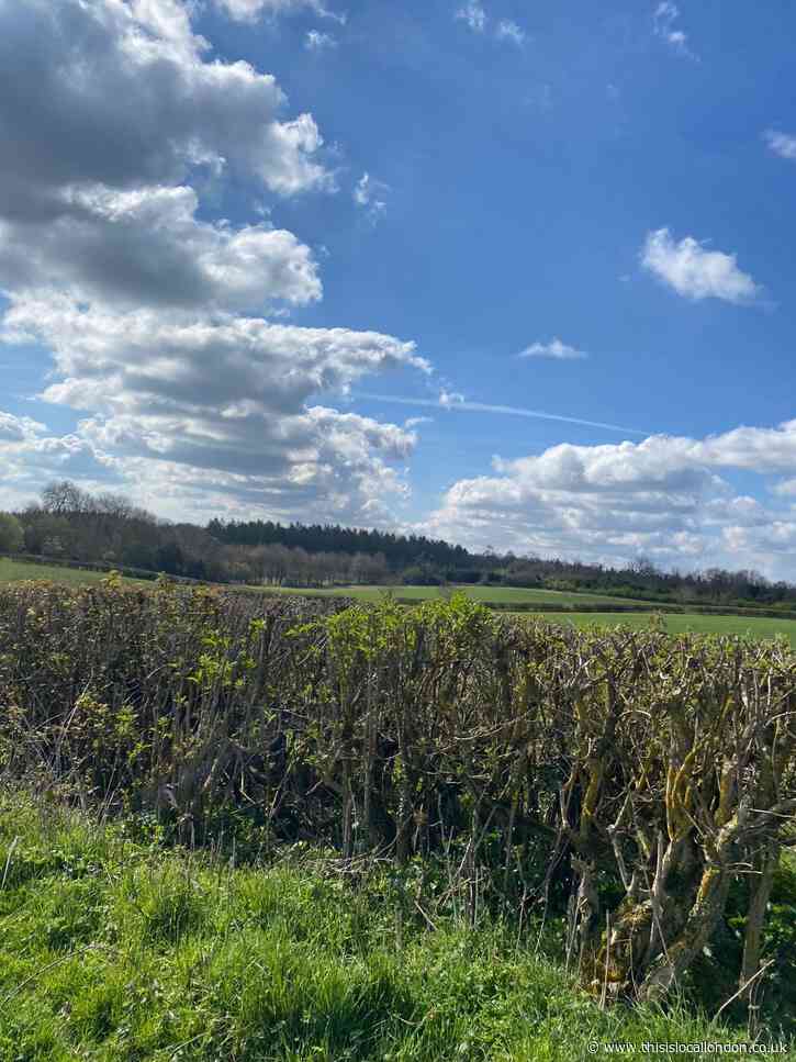 Benefits of DofE. By Megan Slattery. James Allen’s Girls’ School