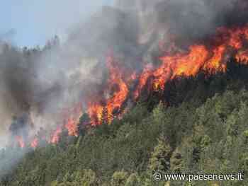 Santa Maria Capua Vetere – Incendio sui Monti Tifatini, condannato 72enne senza fissa dimora - Paesenews