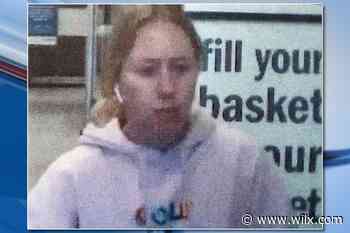 Meridian Township police seek woman in retail fraud case - WILX